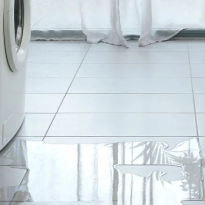 Appliance Leak Cleanup in Rolling Meadows, IL