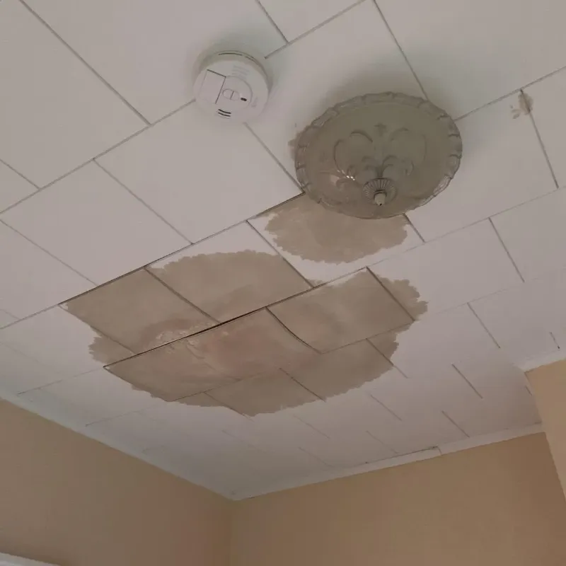 Ceiling Water Damage Repair in Rolling Meadows, IL