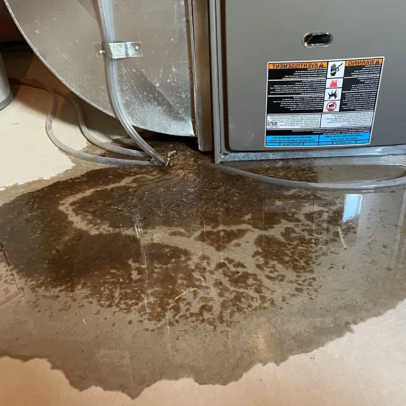Pipe Burst and Leak Restoration in Rolling Meadows, IL